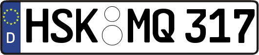 HSK-MQ317