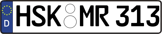 HSK-MR313