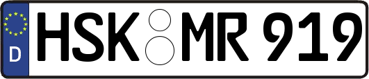HSK-MR919