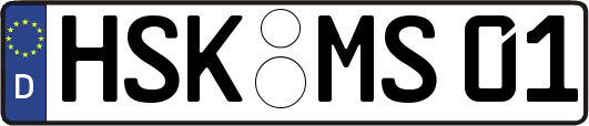 HSK-MS01