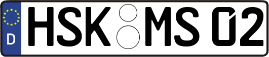 HSK-MS02