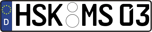 HSK-MS03