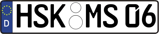 HSK-MS06