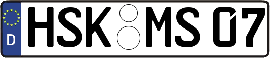 HSK-MS07
