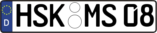 HSK-MS08