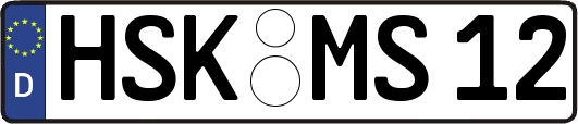 HSK-MS12