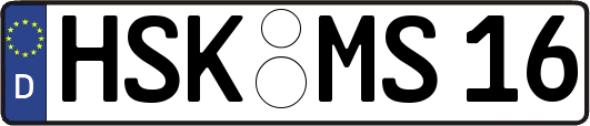 HSK-MS16