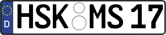 HSK-MS17