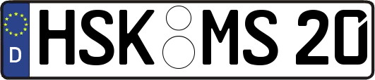 HSK-MS20