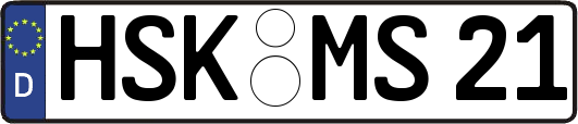 HSK-MS21