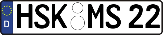 HSK-MS22