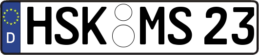 HSK-MS23