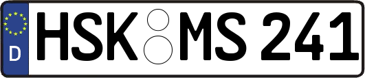 HSK-MS241