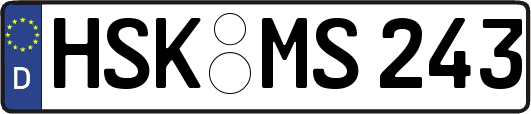 HSK-MS243