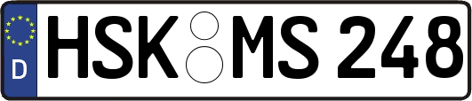 HSK-MS248
