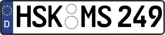 HSK-MS249
