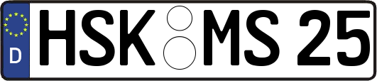 HSK-MS25