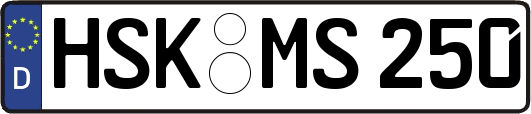 HSK-MS250