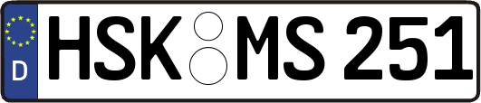 HSK-MS251