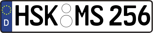 HSK-MS256