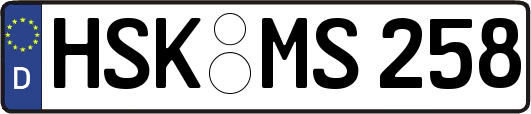 HSK-MS258