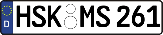 HSK-MS261