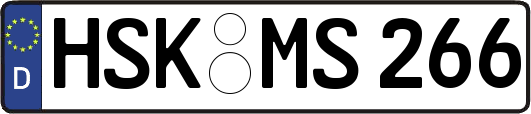 HSK-MS266