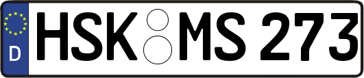 HSK-MS273