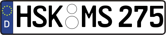 HSK-MS275