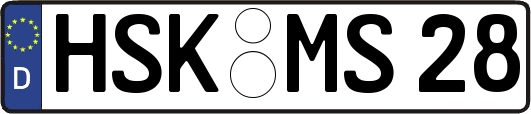 HSK-MS28
