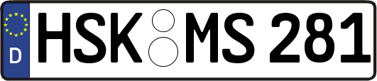 HSK-MS281