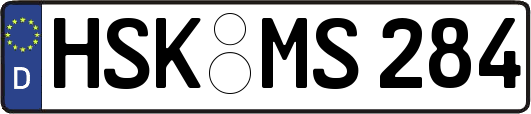 HSK-MS284