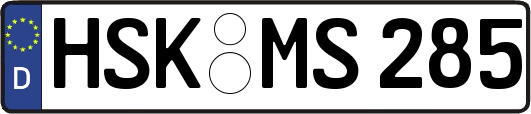 HSK-MS285