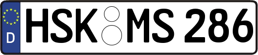 HSK-MS286
