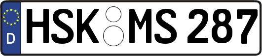 HSK-MS287