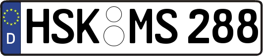 HSK-MS288