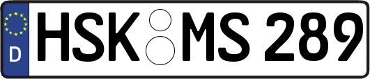 HSK-MS289
