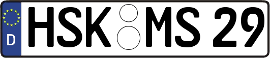 HSK-MS29