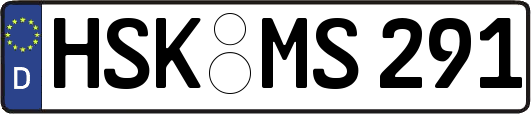 HSK-MS291
