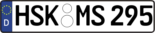 HSK-MS295