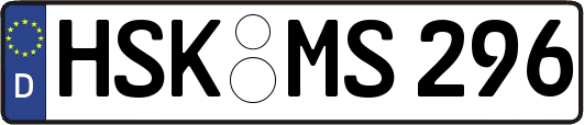 HSK-MS296