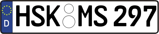 HSK-MS297