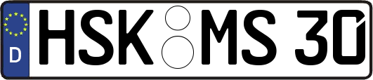 HSK-MS30