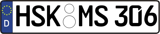 HSK-MS306