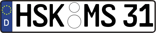 HSK-MS31