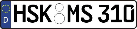 HSK-MS310