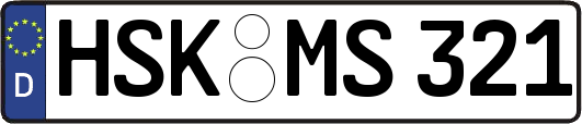 HSK-MS321