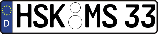 HSK-MS33