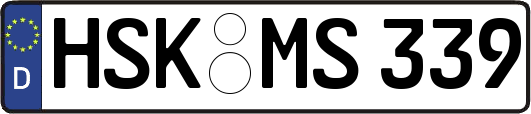 HSK-MS339