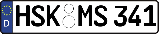 HSK-MS341